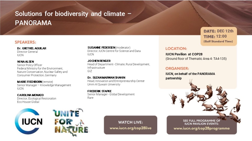 🎉We’re going to #COP28! Join us December 12 for an in-depth look at PANORAMA Solutions for Biodiversity and Climate and the Beta Launch for our new web platform! 🔗Learn more here panorama.solutions/en/news/soluti