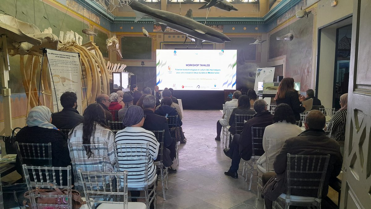 On 30th November, at the museum 'Dar El Hout' INSTM,  TAHALEB workshop on 'Potentiel Biotechnologique et culture des macroalgues pour une croissance bleue durable en Méditerranée'  allowed to discuss opportunities offered by seaweed for a sustainable blue economy