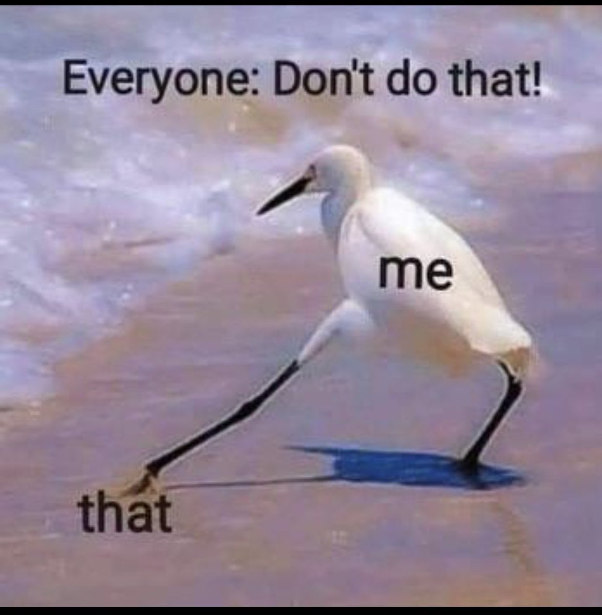 Maria Dolores tweet media