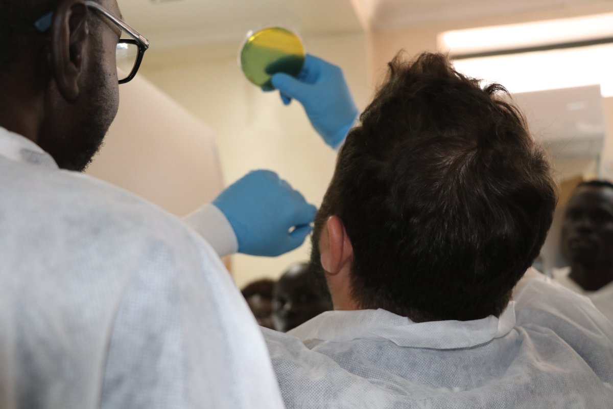 WHO South Sudan (@whosouthsudan) on Twitter photo The accurate diagnosis of cholera is contingent upon the proficiency of laboratory professionals in executing diagnostic procedures. <a href="/WHO/">World Health Organization (WHO)</a> and the Global Task Force on Cholera Control (#GTFCC) have invested in a Training of Trainers programme in South Sudan. The accurate diagnosis of cholera is contingent upon the proficiency of laboratory professionals in executing diagnostic procedures. <a href="/WHO/">World Health Organization (WHO)</a> and the Global Task Force on Cholera Control (#GTFCC) have invested in a Training of Trainers programme in South Sudan.