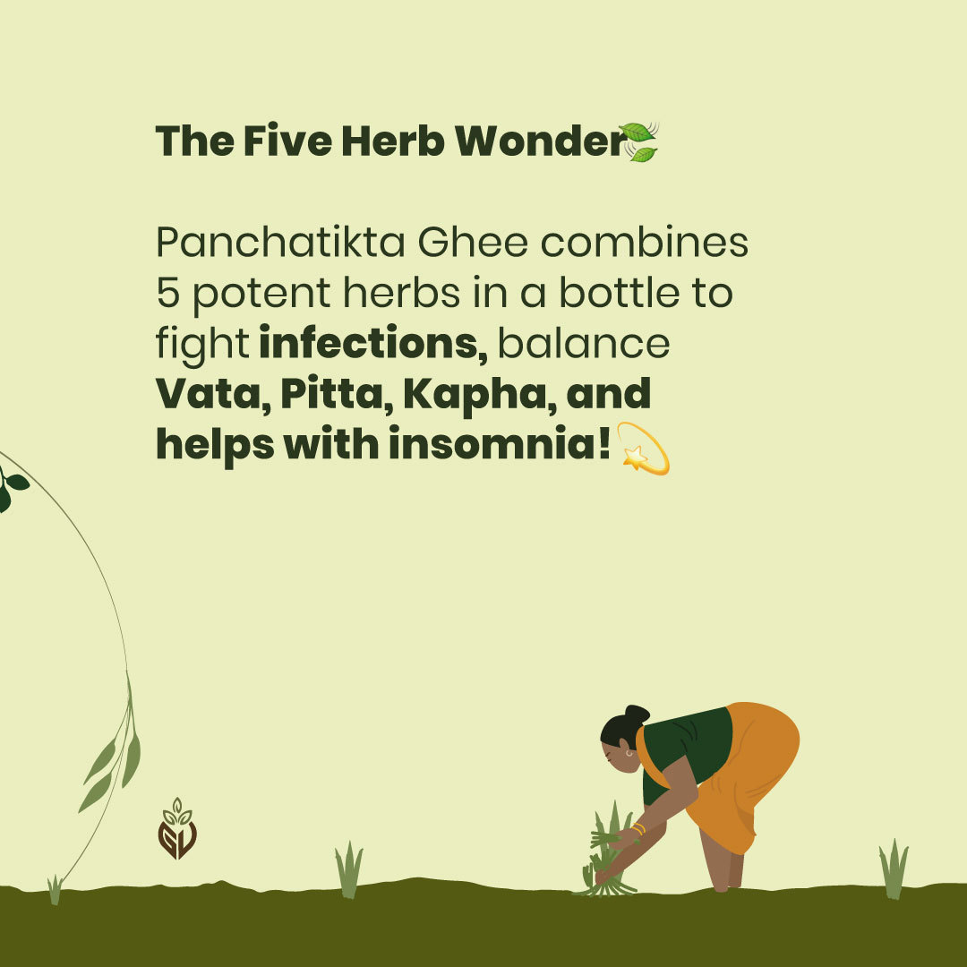 girveda's tweet photo. Experience the power of Panchatikta Ghee. 5 potent herbs in one blend to support immunity, digestion, respiratory health, detoxification, and inflammation relief.
What all can this ghee do? Ask Girveda!
.
#Girveda #NourishingDecember #GoGreenWithGirveda https://t.co/o87stkHuIA