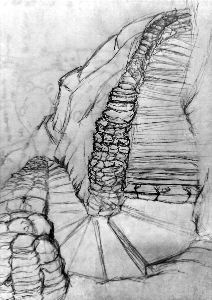 1Mar0z1's tweet photo. Это был inktober/
и последнее что я нарисовал https://t.co/kltMBKQ6Xq
