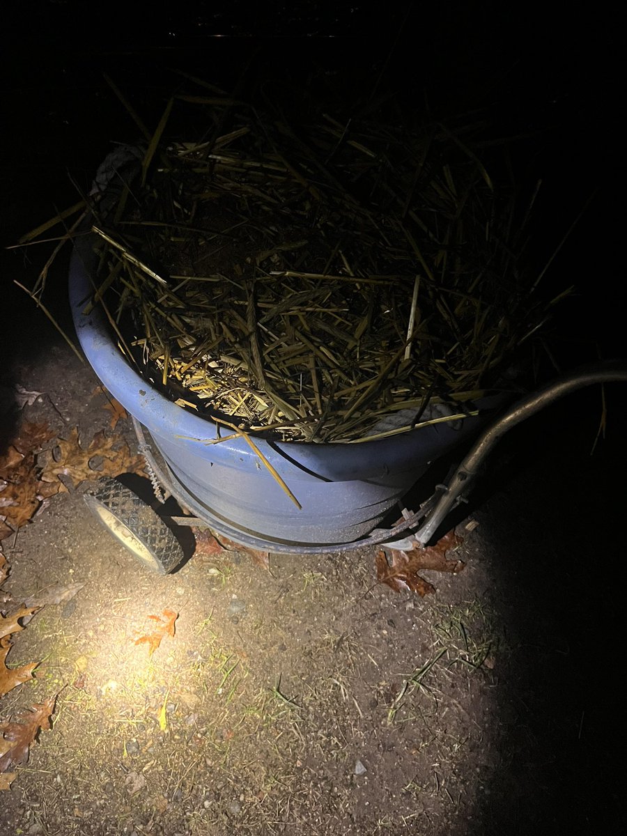 Nothing like the shortest days of the year… mucking out in the dark! #barnlife