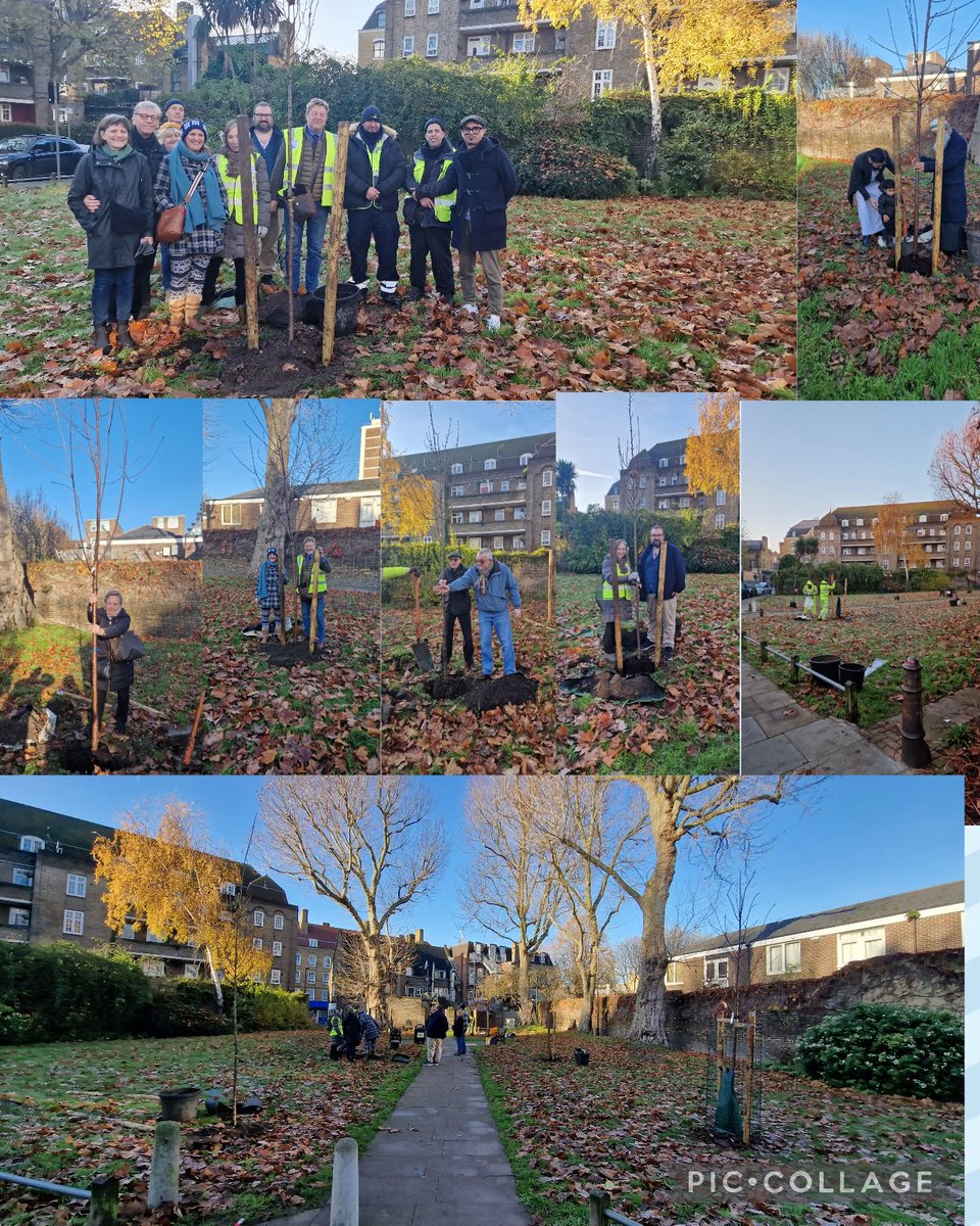 Honoured to facilitate 8 new blossom 🌸 trees planted in #Wapping today helped by representative of local Church, Mosque & residents groups Thank you @TowerHamletsNow Helping to make our neighbourhood greener. #weloveWapping #weareWapping @WappingLabour @TH_Labour @WashWombles