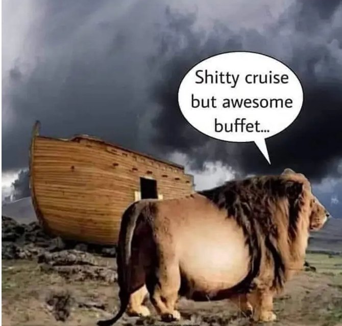 Noahs Ark Trip Advisor review...😀