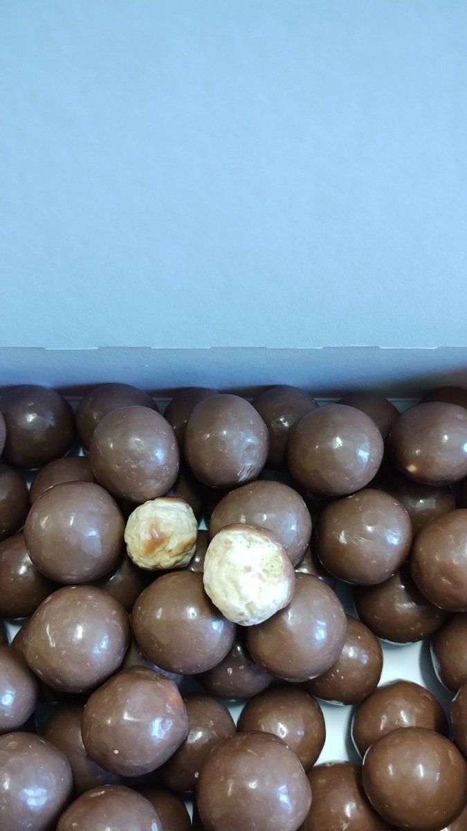 SleepwalkerY's tweet image. Two bald Maltesers in a box, what's up with that?!?