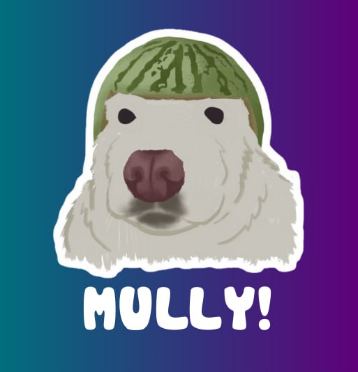 thegrey07's tweet photo. @anglio $SOL IS THE RIGHT PLACE TO BE, WITH $MULLY THAT LAUNCHED FEW HOURS AGO WE ARE GOOD TO GO!
https://t.co/5P27k361jW
$MYRO
$BONK https://t.co/3uaWrvSX7E