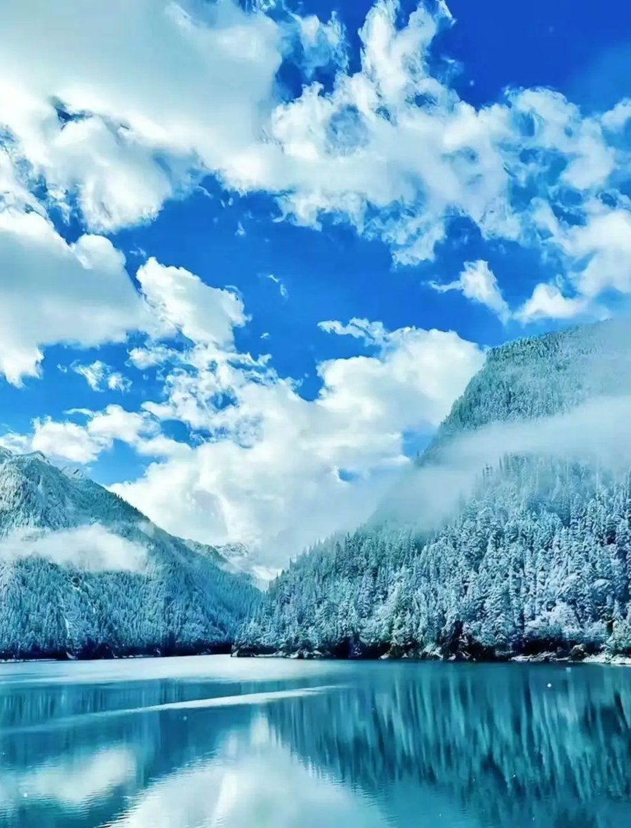 中国·九寨沟——
白雪不愿辜负山色~