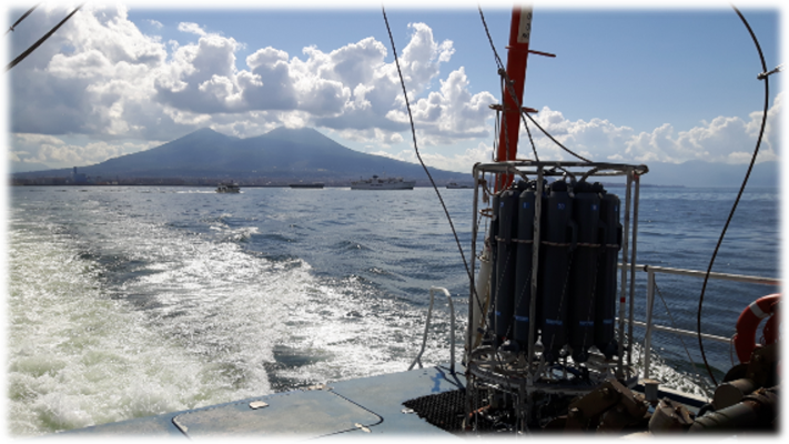 r_danovaro's tweet photo. Finally published the Special Volume of the journal "Marine Ecology-Wiley" dedicated to the Plankton fo the Gulf of Naples to celebrate the 150 anniversary of the Stazione Zoologica Anton Dohrn @SznDohrn. 
Freely and fully available in open access. https://t.co/KUspLGfoc1 https://t.co/WH2QlLclXL
