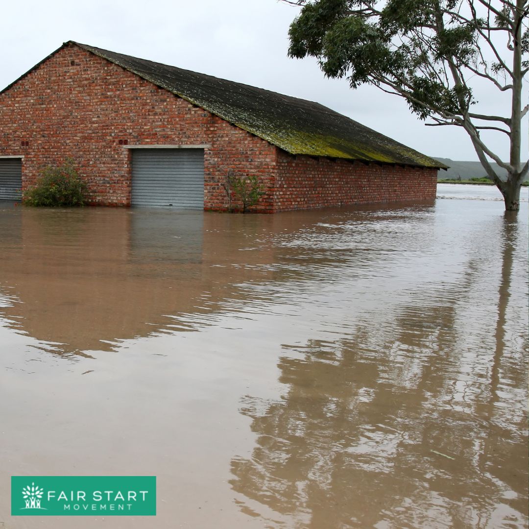 FairStartOrg's tweet image. #Climatedisplacement is a large #concern for #children and their #families.

Today&apos;s recount of displacement is #shared by Ashley Berke.

By #sharingstories from our #past, we can work together to #changethestories of our #future.

bit.ly/3uDZ9gx