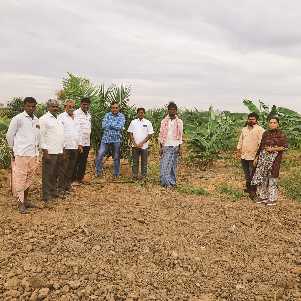 PrashanthiAEO's tweet photo. జాజాపూర్ గ్రామం, నారాయణపేట మండలం, రైతు ప్రతాప్ రెడ్డి గారి పామ్ ఆయిల్ తోటను DAO సర్ గారు మరియు  MAO సర్ గారు సందర్శించి ఆయనకు సూచనలు ఇవ్వడం జరిగింది. తోటలో అంతర పంటలు అరటి , ఉల్లి , ఇతర పంటలు సాగు చేశారు.@harsha_koya @MJSudhakar8 https://t.co/9kt4st3dOr
