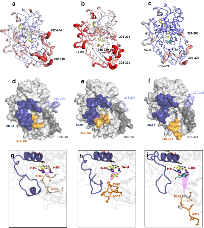 Nature Communications (@naturecomms) on Twitter photo <a href="/AndrTaborda3/">André Taborda</a>, <a href="/frazsiglu/">Tomás Frazão</a>, <a href="/lom_martin/">Ligia O. Martins</a> and colleagues based <a href="/itqbnova/">ITQB NOVA</a> and <a href="/zymvol/">Zymvol Biomodeling</a> present an integrated experimental and computational approach revealing functional and structural details of a key catabolic enzyme that oxidizes recalcitrant C-glycosides
nature.com/articles/s4146… <a href="/AndrTaborda3/">André Taborda</a>, <a href="/frazsiglu/">Tomás Frazão</a>, <a href="/lom_martin/">Ligia O. Martins</a> and colleagues based <a href="/itqbnova/">ITQB NOVA</a> and <a href="/zymvol/">Zymvol Biomodeling</a> present an integrated experimental and computational approach revealing functional and structural details of a key catabolic enzyme that oxidizes recalcitrant C-glycosides
nature.com/articles/s4146…