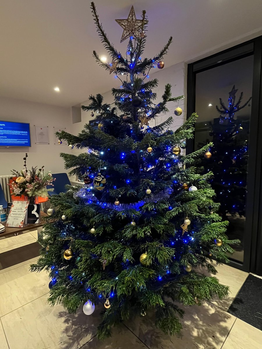 LewisBrownlee's tweet photo. 🎄✨ Showcasing Chichester's office Christmas tree from Russels Garden Centre, Birdham! A symbol of our local community ties and support. Spot the Lewis Brownlee stars? 🌟 #LewisBrownlee #Chichester #SupportLocal #FestiveCheer @RusselsGarden https://t.co/sESDMPIwAs
