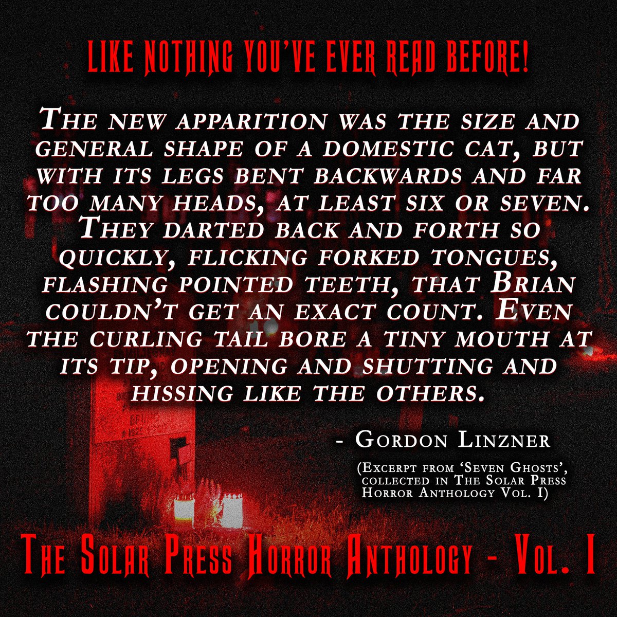 SolarPressBooks's tweet image. Seven Ghosts by Gordon Linzner

Part of The Solar Press Horror Anthology Vol. I

GET IT NOW:
UK/EU - solarpressbooks.com
USA/CA - orbitdvd.com
