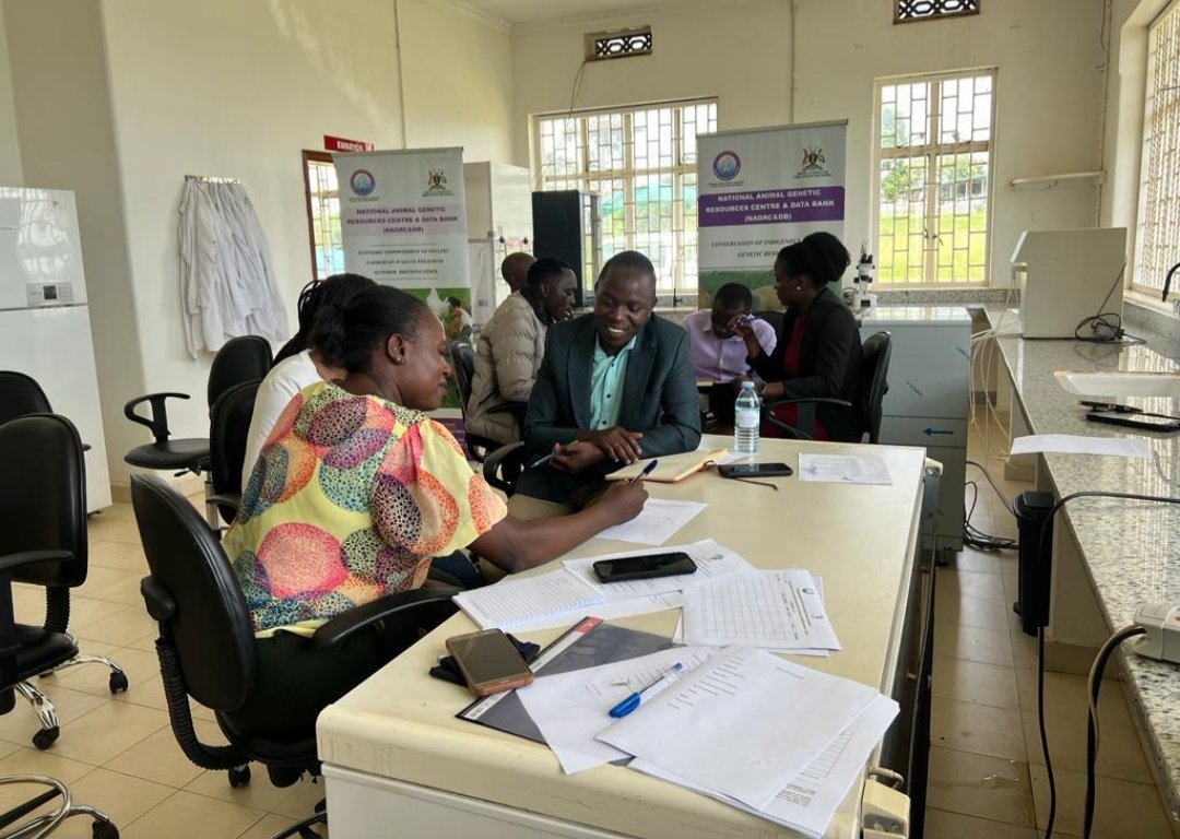 NAGRC_DB's tweet photo. #HappeningNow
@NAGRC_DB hosts practical session of @DAISEA_AfricaBP at the Eastern Africa Regional Gene Bank in Entebbe.
The workshop aims at capacity building on ethical compliance during sample acquisition for Bio banking &amp; research.
@FrankTumwebazek @DrRwamiramaBK @beinepeter https://t.co/VRXobvQzsy