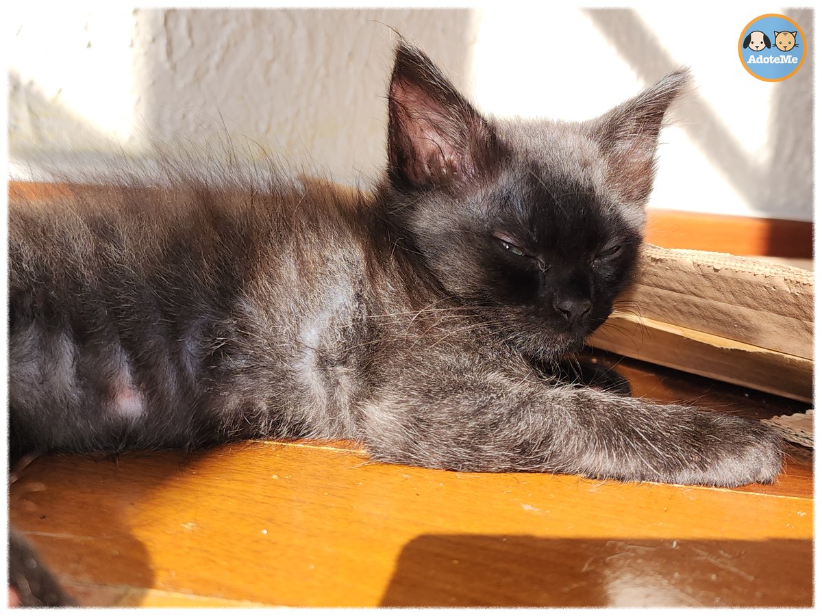 Tem alguém acordado aí ou só eu? 😆