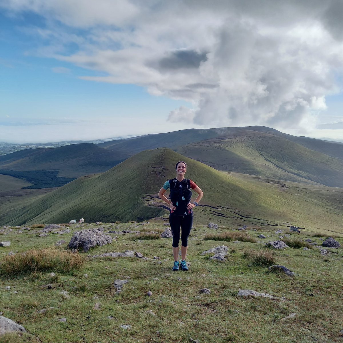 PyllonUltra tweet media