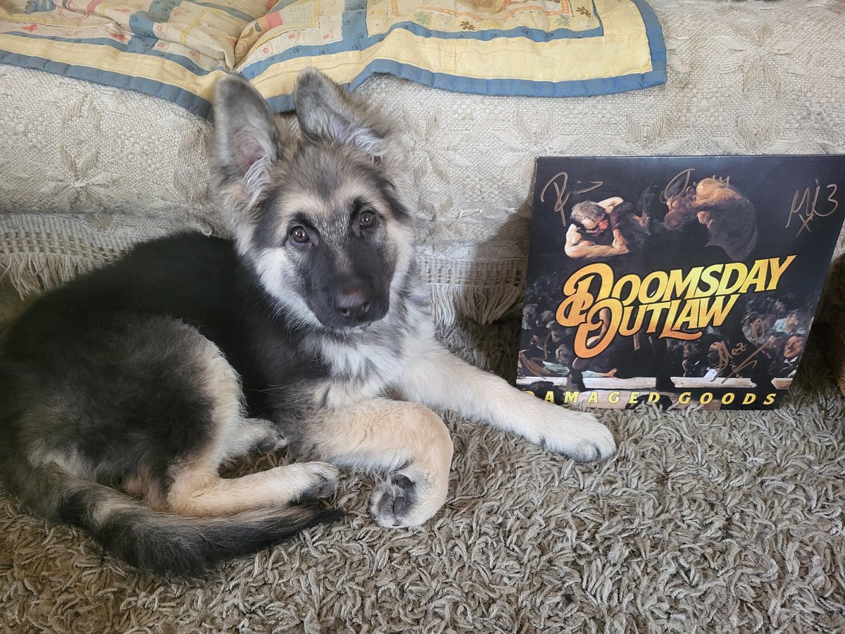 AnarcoGitano's tweet photo. Today, Billy the Kid is going through his music education &amp; naturally @DoomsdayOutlaw HAS to be part of it!!! Just put in a jukebox request for "One More Sip" with @PlanetRockRadio 🤘 Hoping these guys make it on to a regular playlist, as they're kickin' ass &amp; really cool guys. https://t.co/9vZTxD84kc