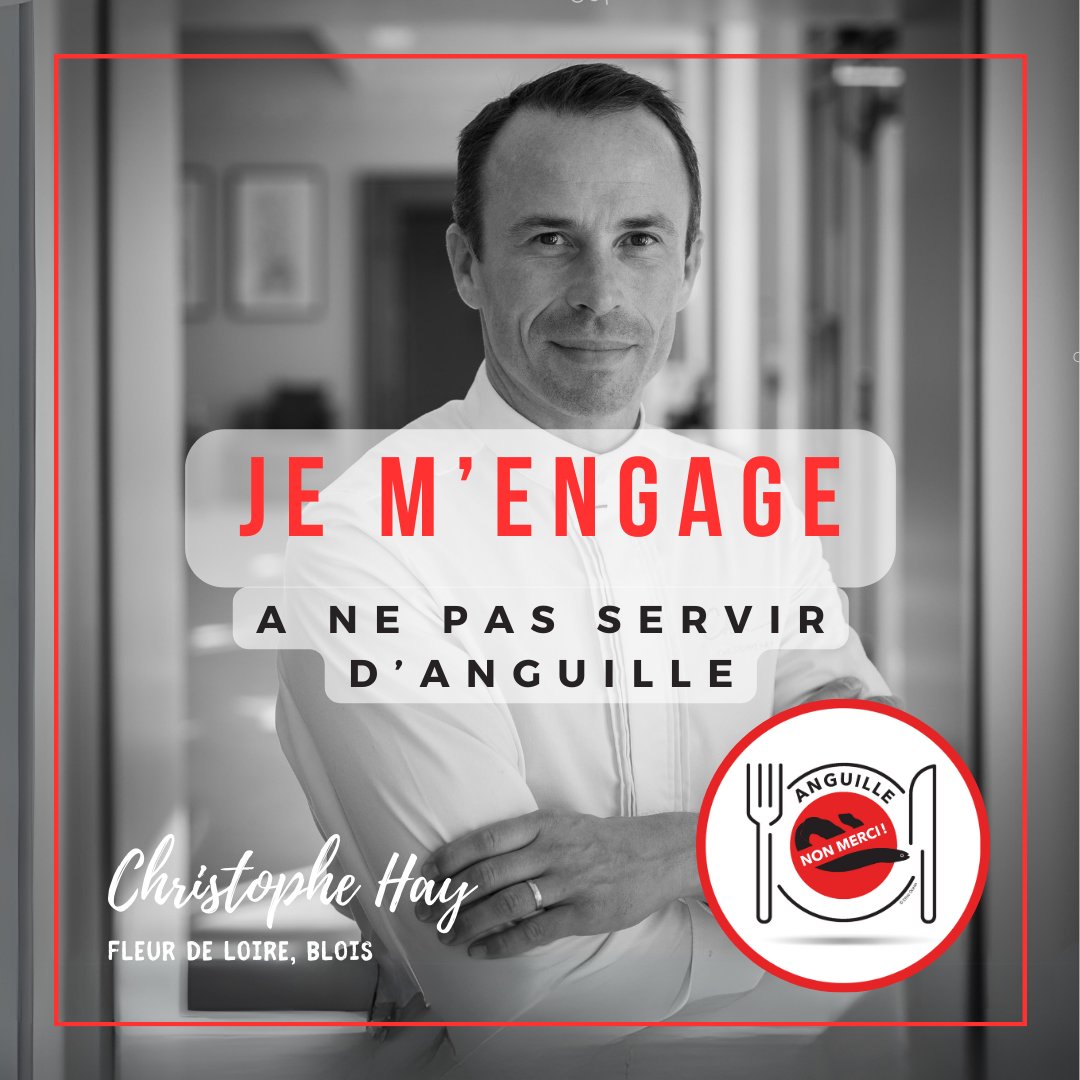 Ethic Ocean (@ethic_ocean) on Twitter photo ESPÈCE EN DANGER CRITIQUE D'EXTINCTION
#FleurdeLoire <a href="/christophehay1/">Christophe Hay</a> <a href="/RelaisChateaux/">Relais & Châteaux</a>
#AnguilleNonMerci #chefengagé #biodiversité #anguille #cuisineresponsable #préservonslesressources
<a href="/GrandOcean/">Grand Océan</a> <a href="/ORoellinger/">Olivier Roellinger</a> ESPÈCE EN DANGER CRITIQUE D'EXTINCTION
#FleurdeLoire <a href="/christophehay1/">Christophe Hay</a> <a href="/RelaisChateaux/">Relais & Châteaux</a>
#AnguilleNonMerci #chefengagé #biodiversité #anguille #cuisineresponsable #préservonslesressources
<a href="/GrandOcean/">Grand Océan</a> <a href="/ORoellinger/">Olivier Roellinger</a>