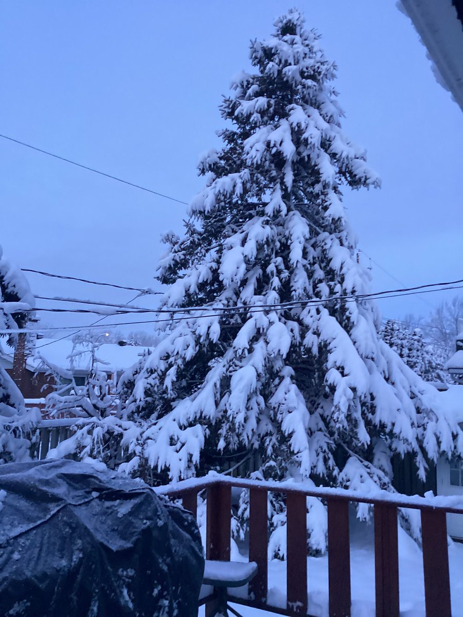 rex88ter's tweet image. Good morning. Workout done. #Decemberchallenge 53. Little snow covered here. Have a great day @321gaux