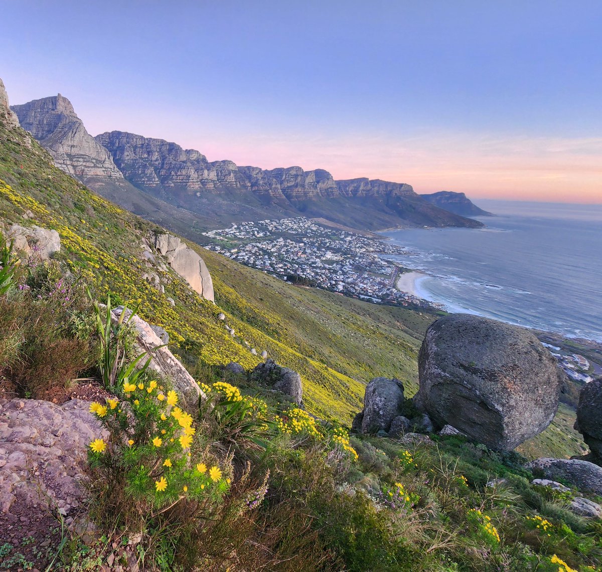 Ferg Clark Pictures tweet media