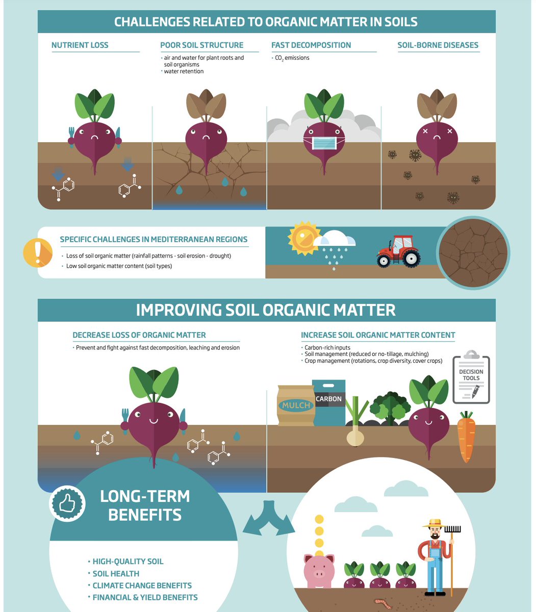 Learn how to build organic soil matter via Laa'Laa's Soil Health Decision Support Tools

#SoilHealth #regenerativeagriculture #ruralliving #naturalecosystems #Ecology