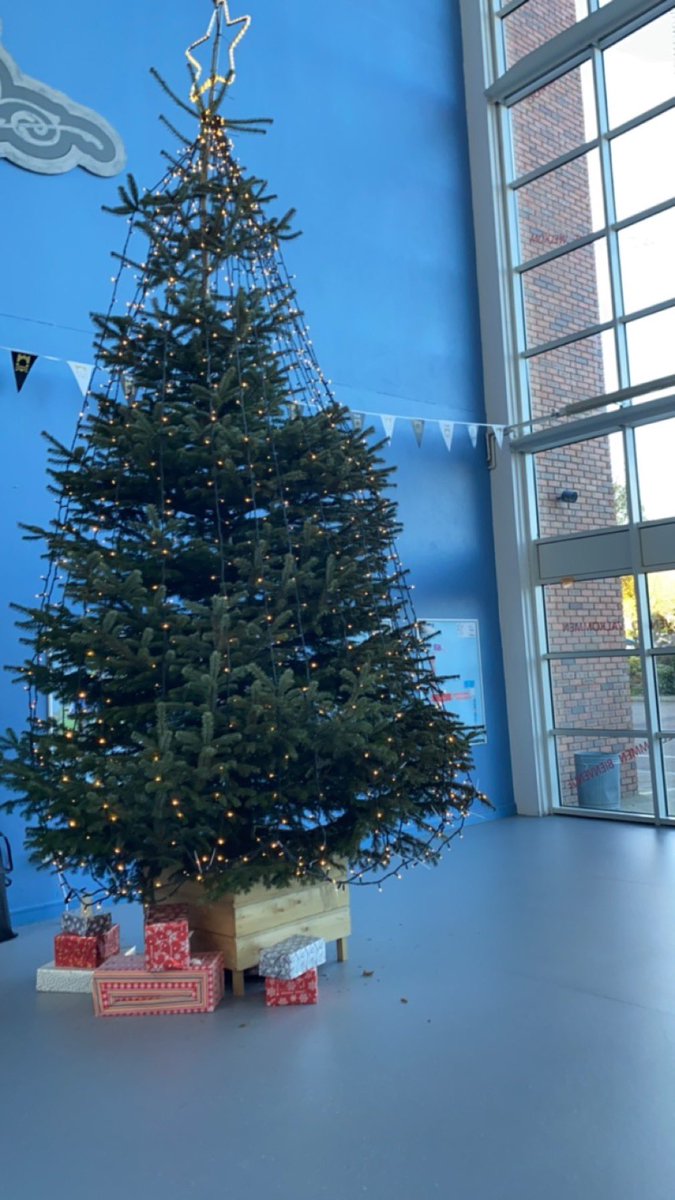 Aoife Reilly tweet media