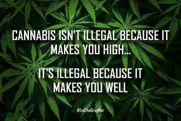 CannaWorld4's tweet photo. https://t.co/YrmWVhGOlP