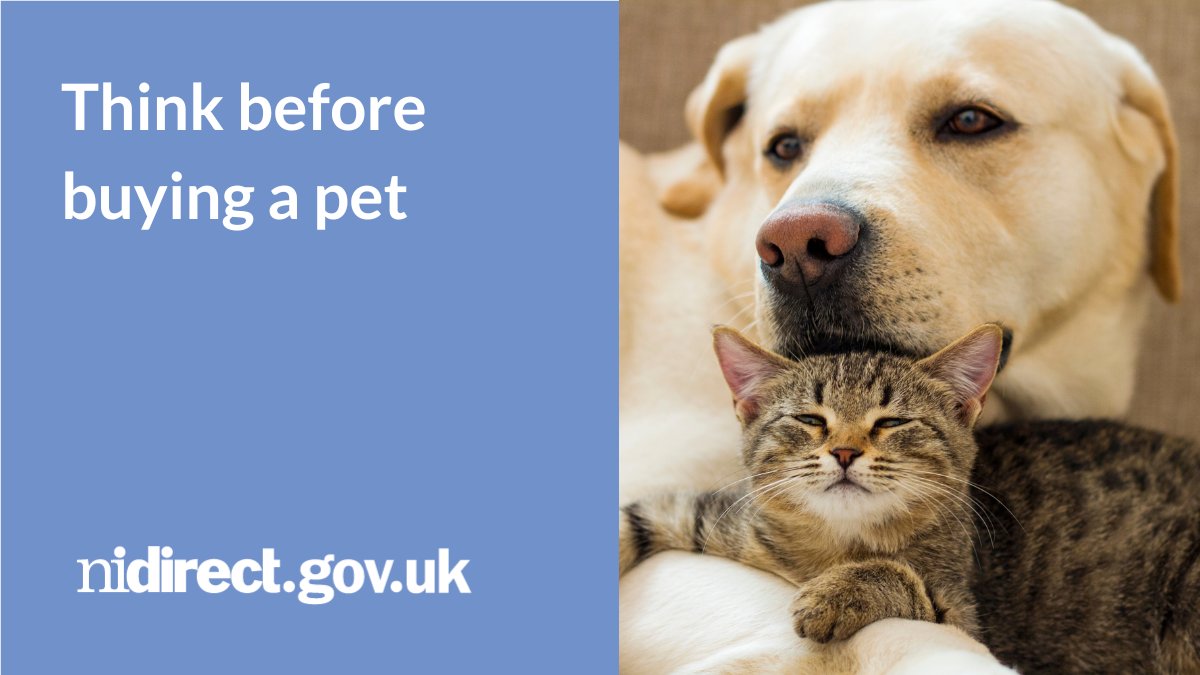 Thinking of getting a pet as a present? Waiting until after Christmas provides the time & space needed to welcome home a new pet. Animal welfare charities can match you with a pet & some will reserve it to be collected after the festive season. nidirect.gov.uk/news/think-car… @daera_ni