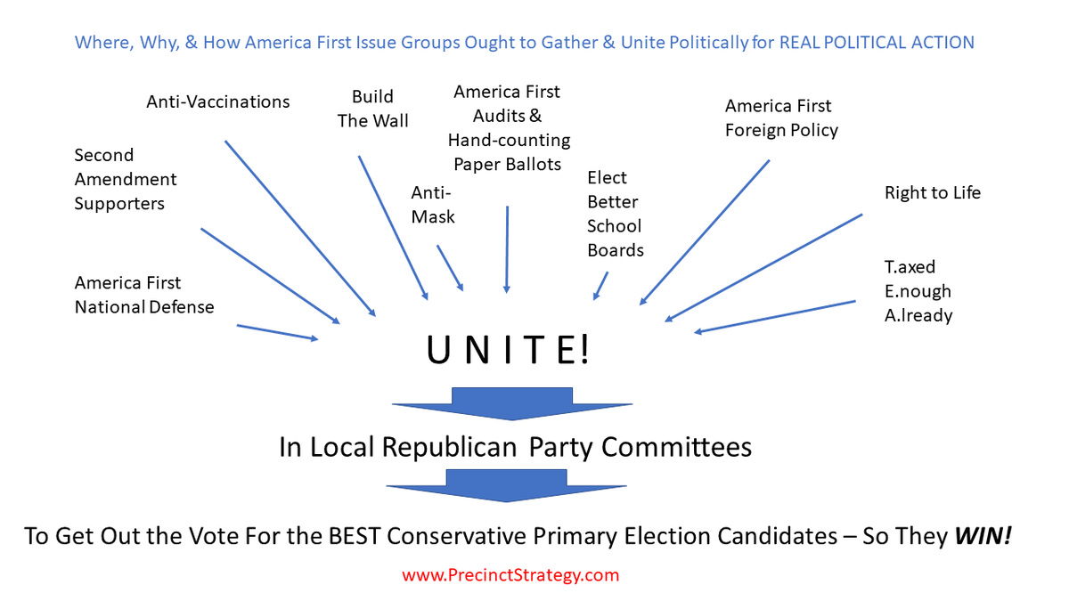 DanSchultz2's tweet photo. Very good things can happen when enough America First Republicans volunteer to run to fill vacant precinct committeeman positions &amp; succeed in creating an America First voting majority to elect AF committee officers. Learn: https://t.co/RVdPB6Pioh Great job! @MaricopaGOP https://t.co/X6HP6SLUcW