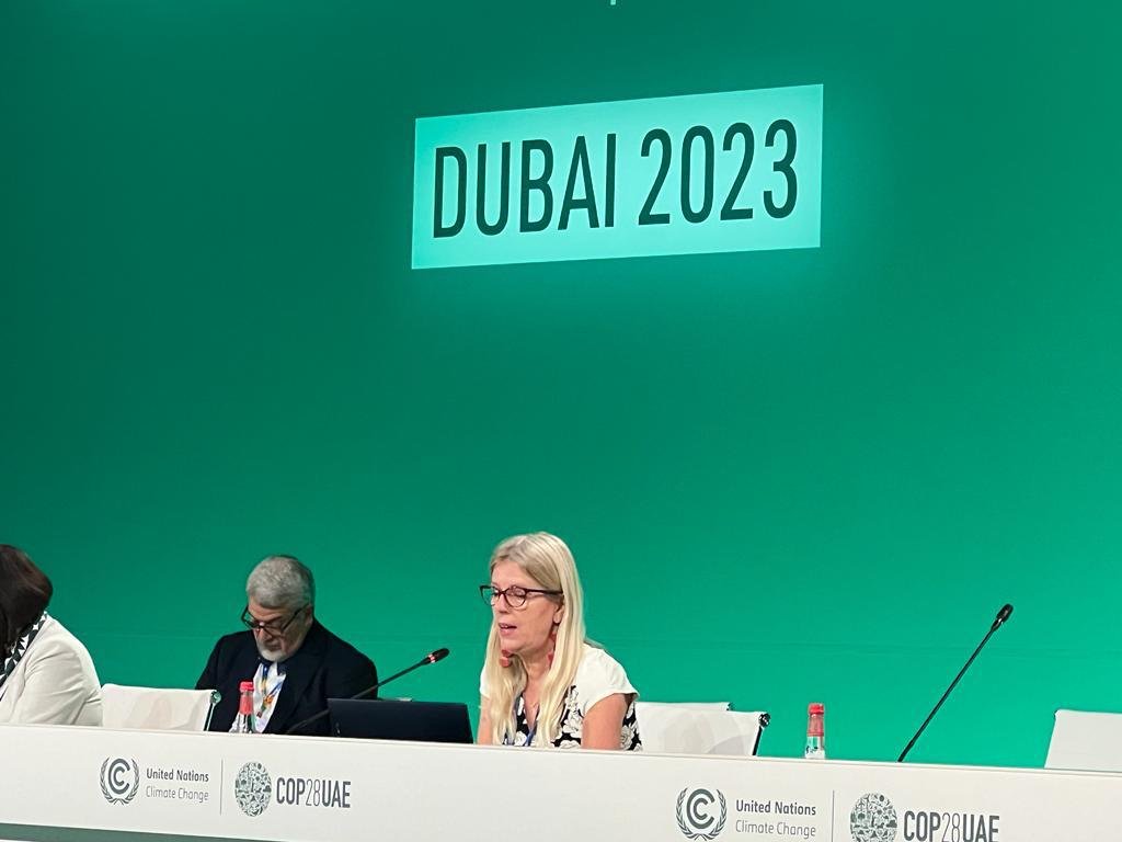 “#IPCC reports attest that cities are not only where people suffer the brunt of climate impacts, they are also the most significant hubs to reduce emissions” -#IPCC Vice-Chair <a href="/DianaUrge/">Diana Urge-Vorsatz</a> at today’s #COP28 Ministerial Meeting on Urbanization and #ClimateChange.