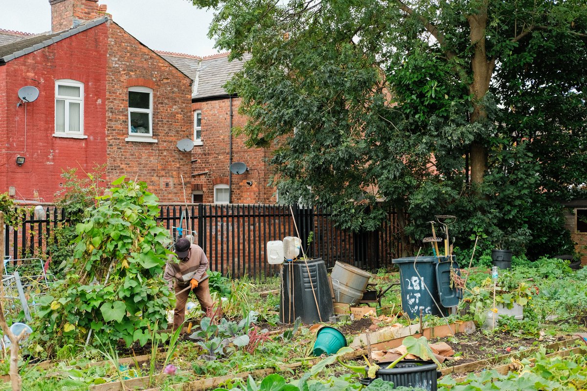 The global food-system emissions are estimated to equate to 30% of the world’s Green House Gas emissions. Allotments, community gardens and food growing projects are vital to tackle food emissions and provide food security #COP28UAE @GreenerGM @gmenvfund @InOurNatureMCR