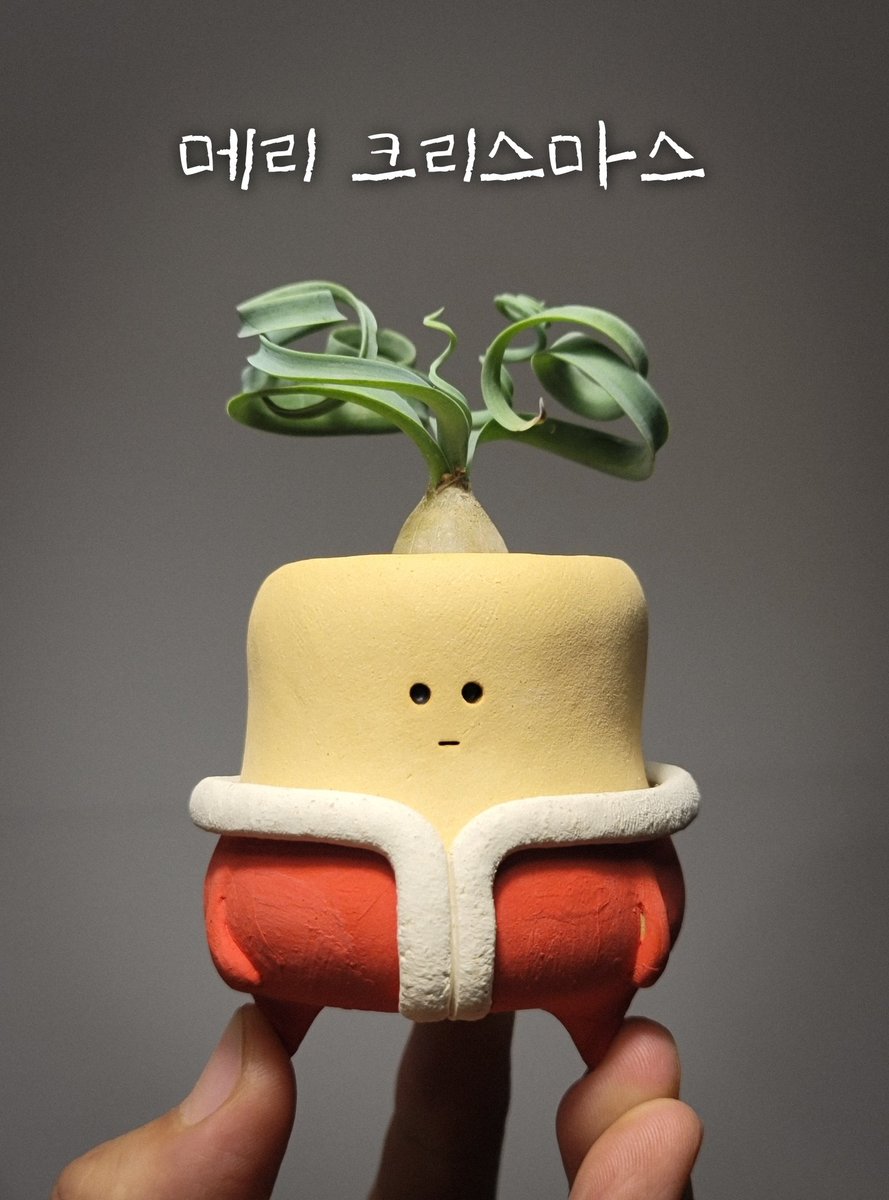 메리크리스마스,