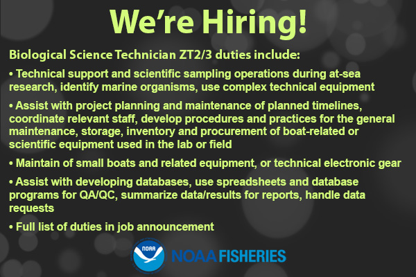 We’re #hiring 3 Biological Science Techs ZT2/3 to join our Protected Species Division. Location: #ME, #MA, or #RI. Accepting first 150 apps before 12/12 deadline! Term appt not to exceed 13mos w/ possible extensions. Public/Career trans fed/Vet: ow.ly/IT7m50QfE6f. #Jobs