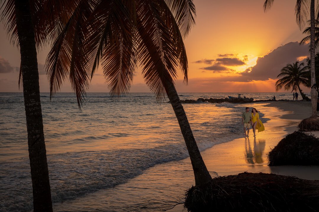 tidalrum's tweet photo. COMPETITION: 🏖 🍹 ☀️ WIN A 14-NIGHT FLY CARIBBEAN HOLIDAY for two adults in the Caribbean with @pandocruises !
Enter today, link in bio: https://t.co/N0WWI6zRCH
 
TERMS
Like and follow for an extra entry
Full competition terms on entry page

#competition #win #holiday https://t.co/y0vCrrSJdH