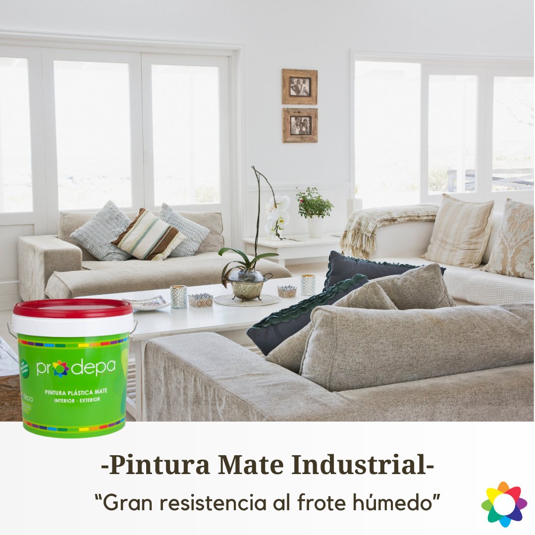 Nuestra Pintura Mate Industrial se caracteriza por su gran acabado en blanco mate con un gran cubrición, blancura y rendimiento.
Te lo llevamos a la puerta de casa, entra en nuestra nueva tienda online y elige tu formato:

🛒 Mate Industrial Prodepa: prodepa.es/tienda