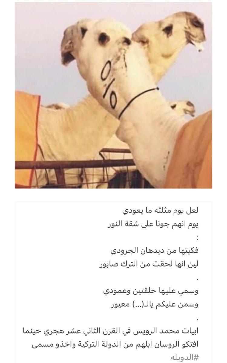 جزاع بن عون tweet media