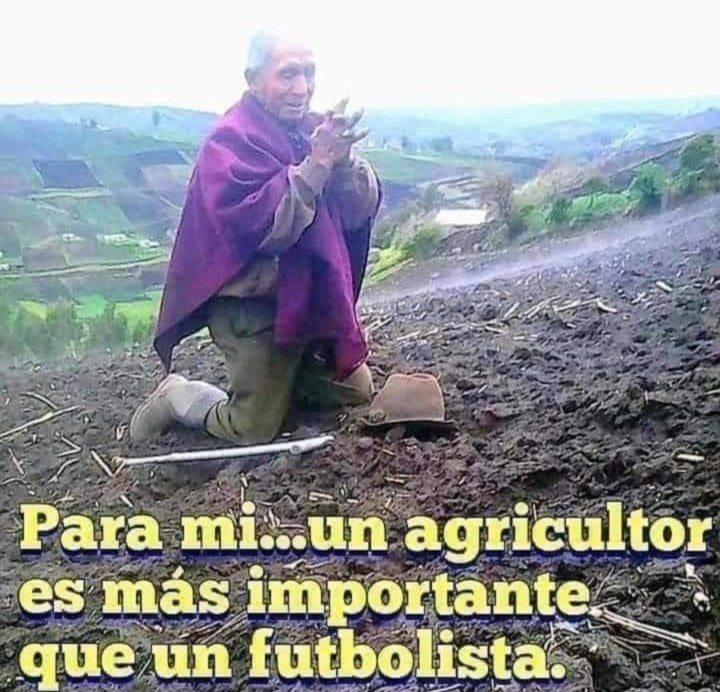 Mamertos 2.0🍉 tweet media