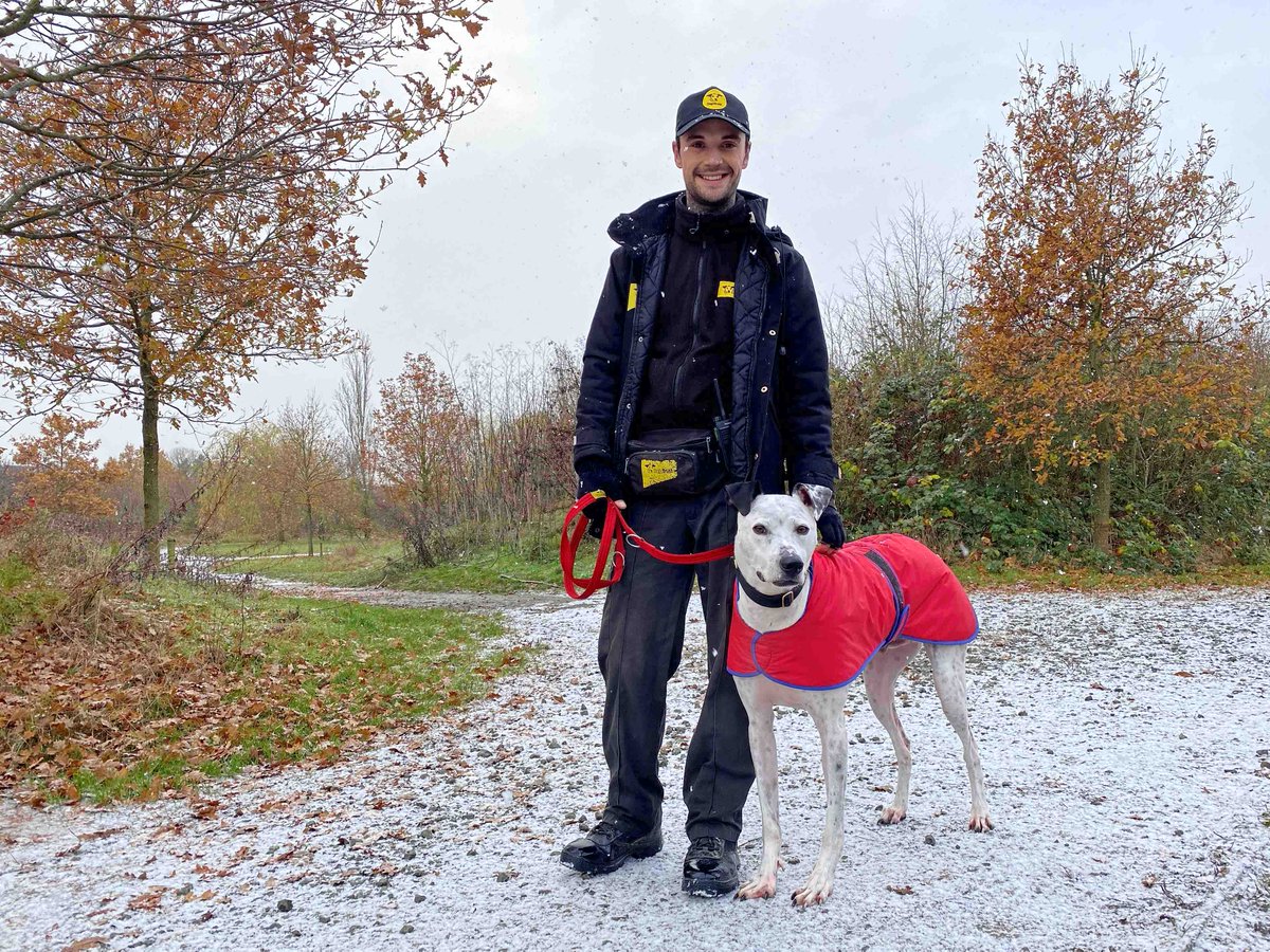 Dogs Trust 💛🐶 tweet media