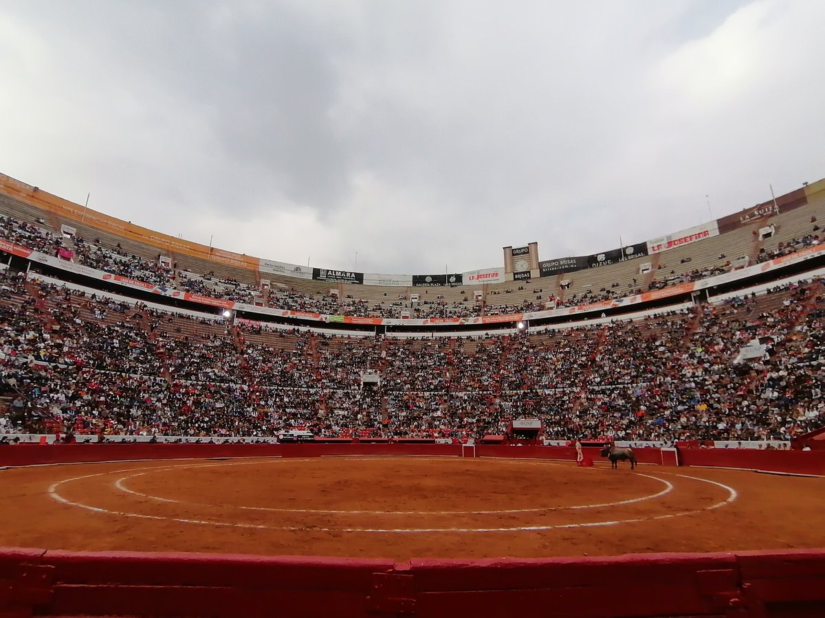 Porque hoy prevalezca la Libertad <a href="/SCJN/">Suprema Corte</a> <a href="/YasminEsquivel_/">Yasmín Esquivel Mossa</a> <a href="/LaPlazaMexico/">La Plaza Mexico</a>