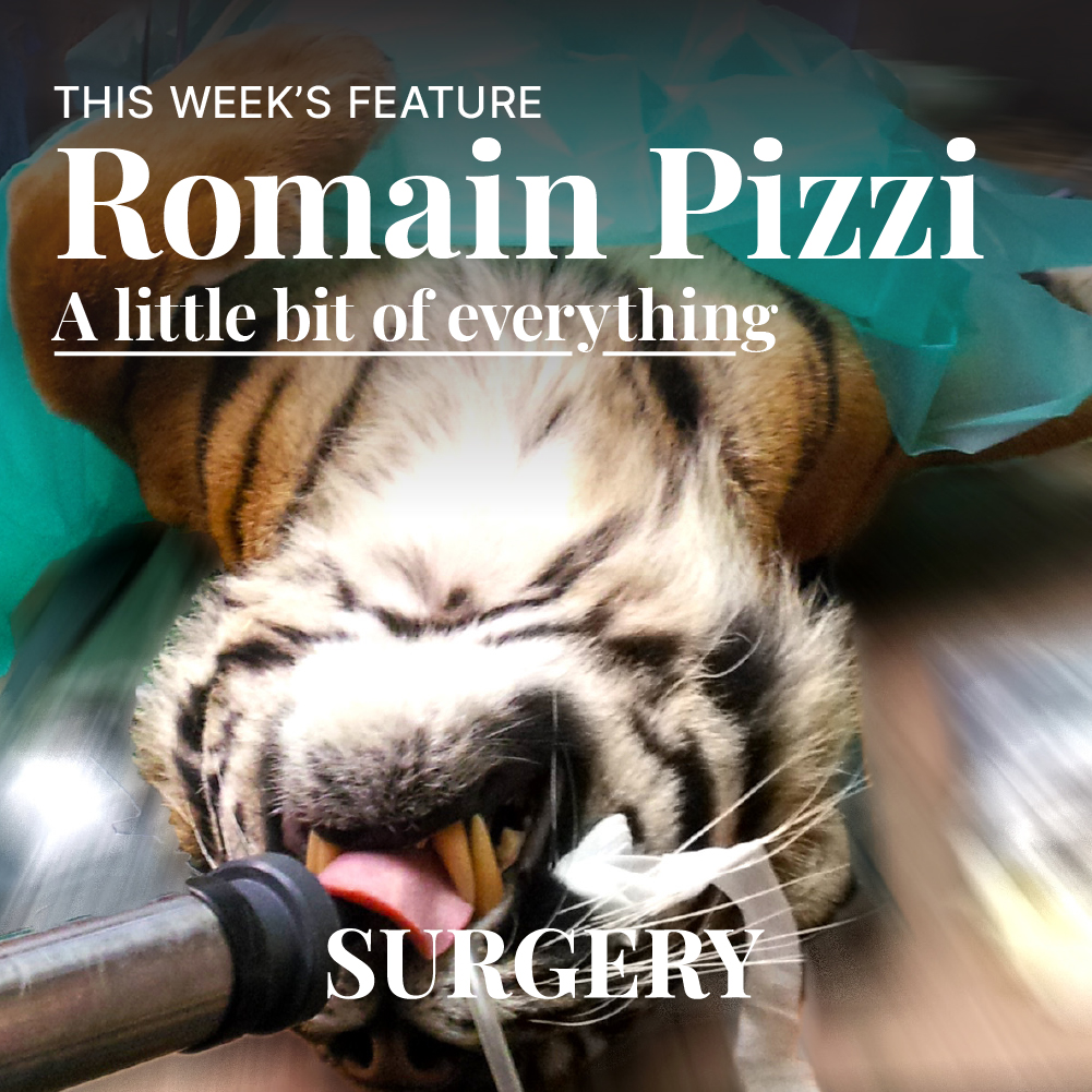 Surgery International tweet media