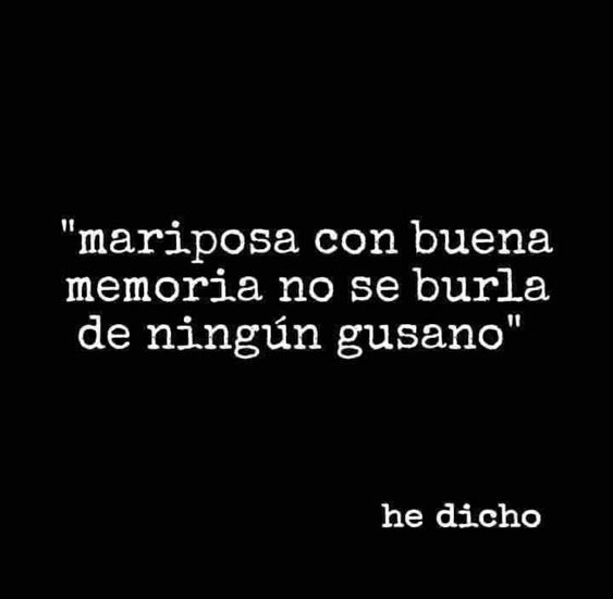 Fernando Suero (@fernandosuero01) on Twitter photo 