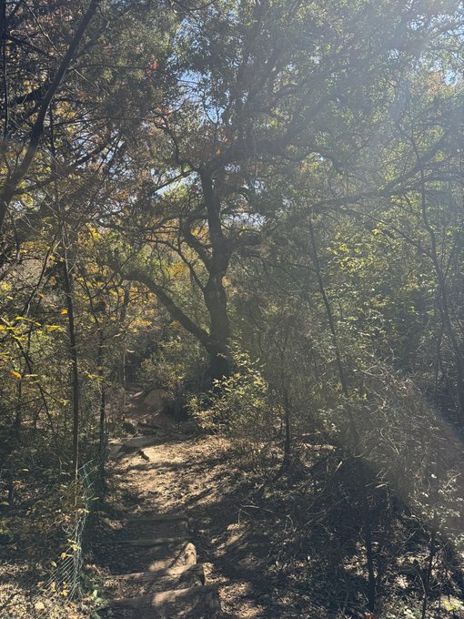 Take me hiking https://t.co/fRP3Qa1bQc<a href="/tag/kali"class="tags"><span>#kali</span></a><a href="/tag/newprofilepic"class="tags"><span>#newprofilepic</span></a>