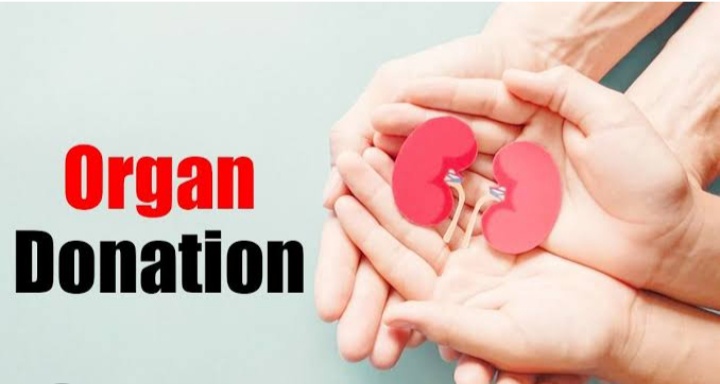 thesouthernlive.com/2023/11/11/des…
Concerns rise about the alarming plight faced by kidney patients in South Africa as they endure decades or more of waiting for life-saving organs....
#Skomota #Nomcebo #Cassper #NSFAS #AdultingShowmax #COVID19  #Zombo