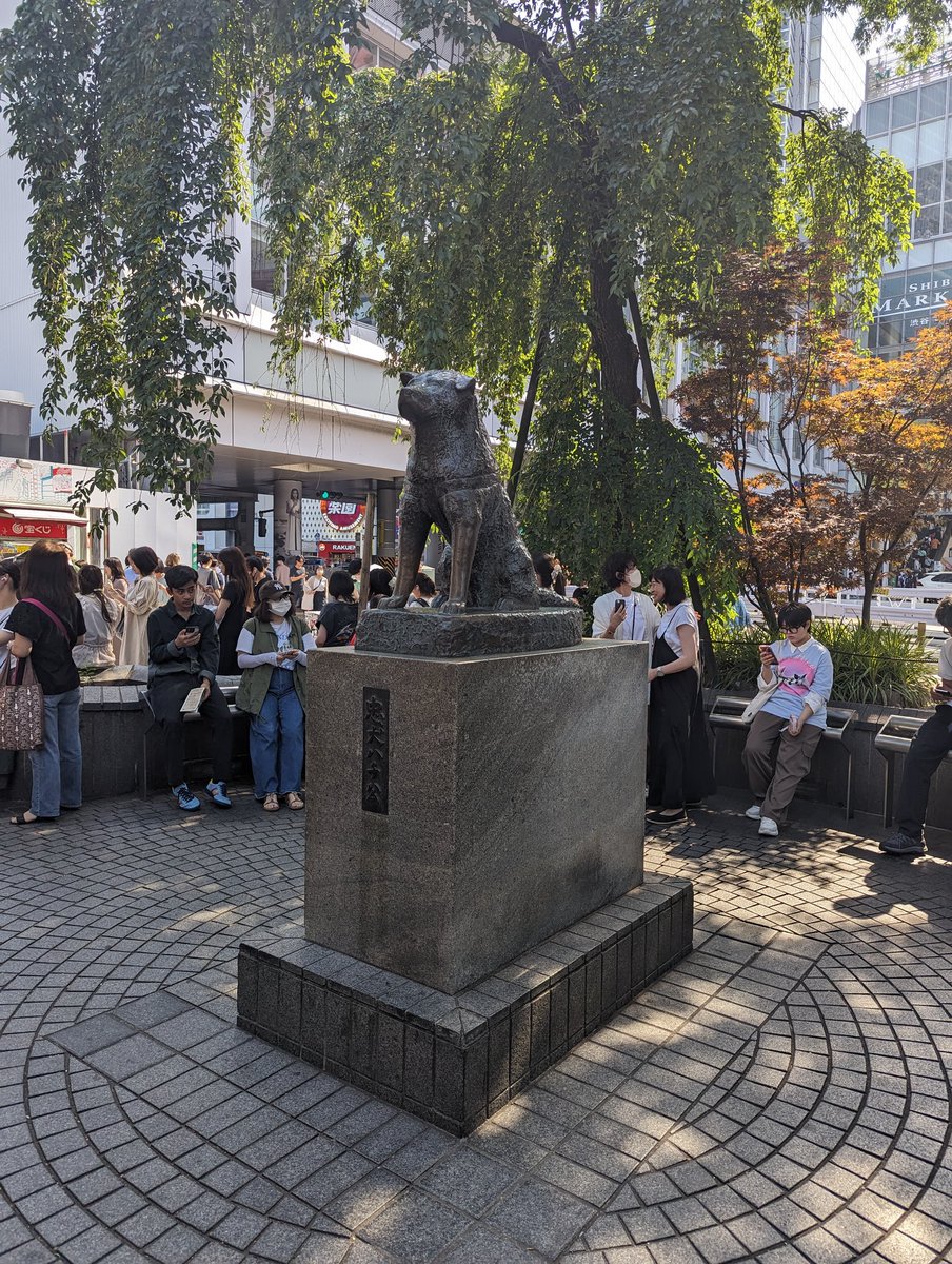 miguelbdbd's tweet photo. Tokyo 🇯🇵🇯🇵 https://t.co/mwabazTujL