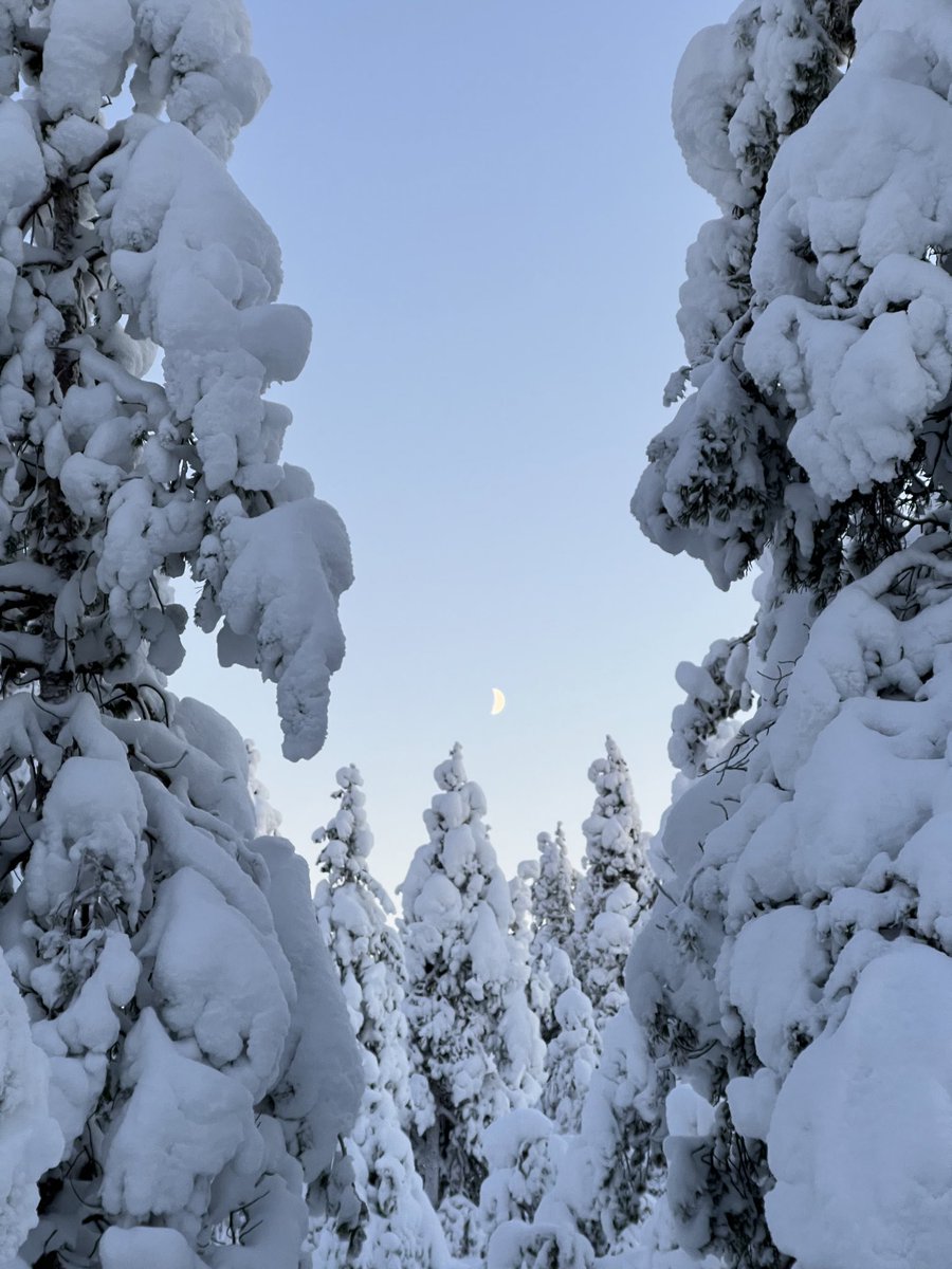 #Finland celebrates 106th Independence Day. Hyvää itsenäisyypäivää! 🇫🇮 

#itsenäisyyspäivä