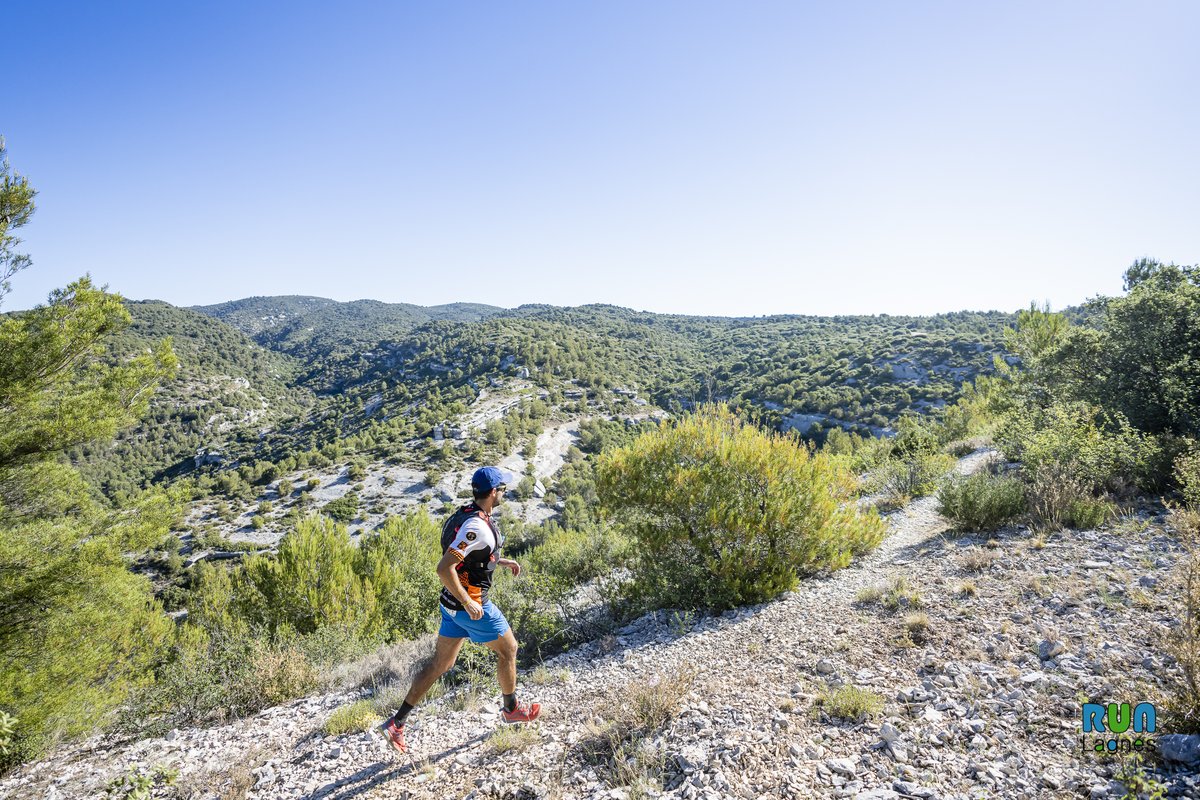 Destination Luberon tweet media