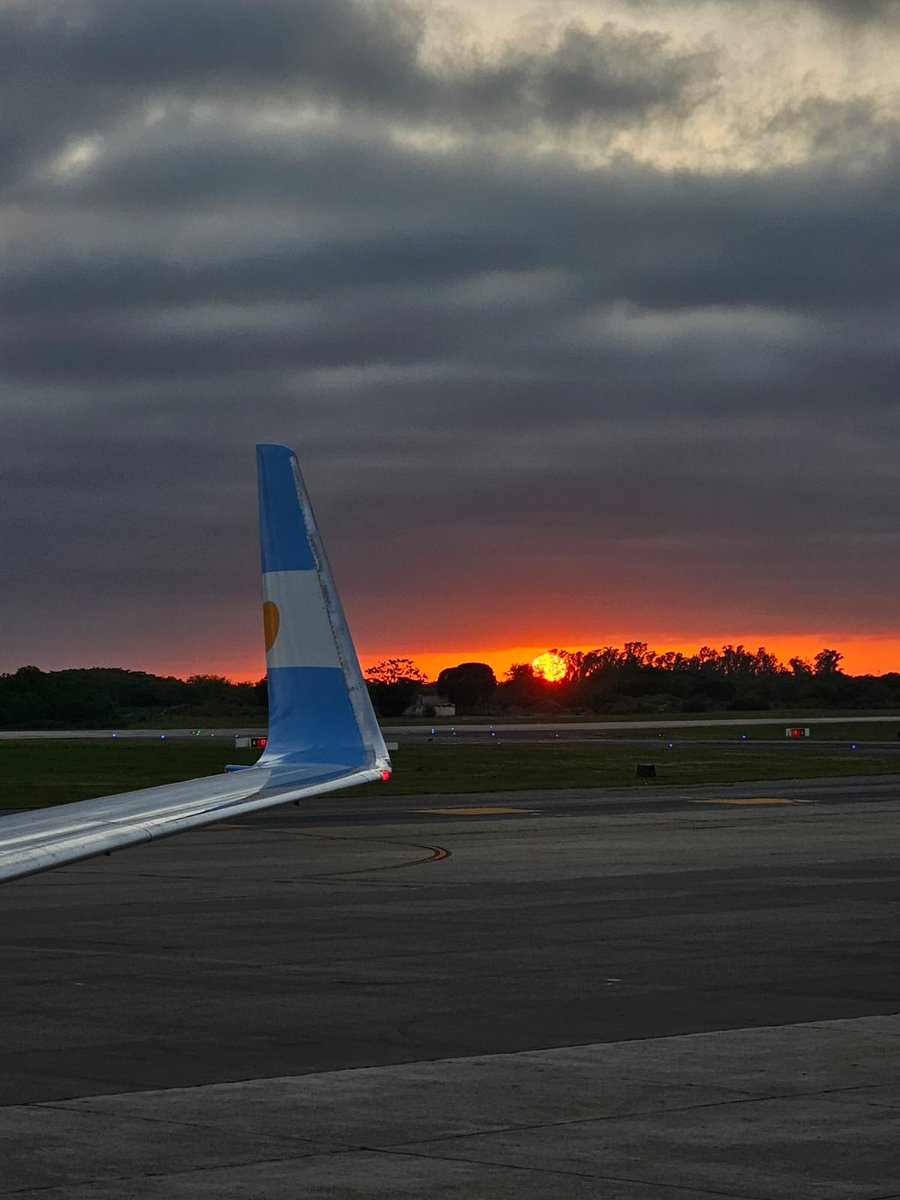 flybondi tweet media