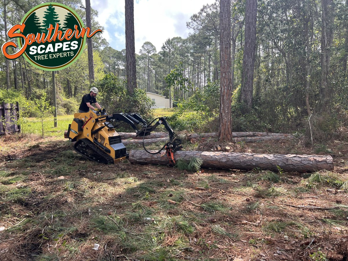 ScapesTree's tweet image. 🏆🌳 State-of-the-art equipment for top-tier service! 🚜⚙️ Southern Scapes Tree Experts uses the latest industry tools, like turf-friendly bobcats and aerial lifts.  #StateOfTheArtEquipment #TopTierService #SouthernScapesTreeExperts s2tree.com/services/tree-…