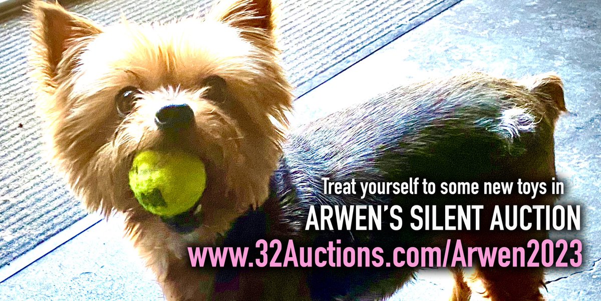 Pssst! I opened my Silent Auction for #Yorkiethon8 a few days ahead of this weekend’s big event! Every penny raised goes to @SAYRescue! Have a look, bid on some stuff, and help my friends who have been abandoned or abused! 👅 32auctions.com/Arwen2023